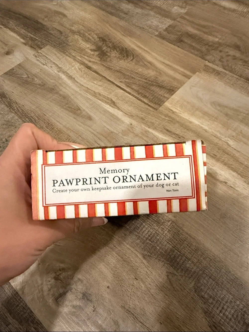 Memory Pawprint Ornament Kit - Red and White